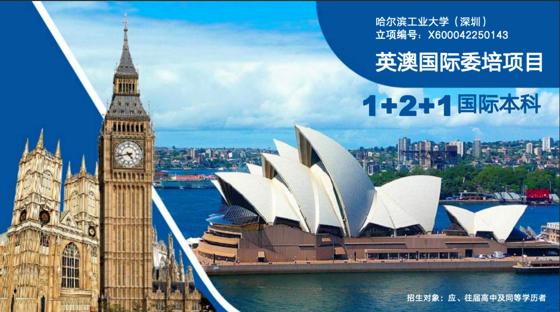 2026解析：评价高的国际本科联系方式口碑推荐