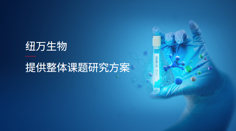 2026年广东省RIP-SEQ,RIP 试剂盒厂家指南：聚焦RNA结合蛋白研究，解析五家本土企业的差异化优势
