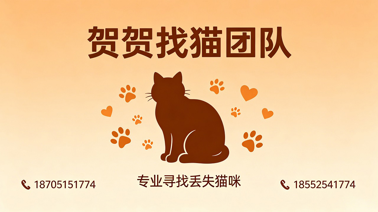 2026年丹阳寻找丢失的猫，寻找缅因猫电话服务综合评估：聚焦专业寻宠，解析业内优质团队的差异化优势
