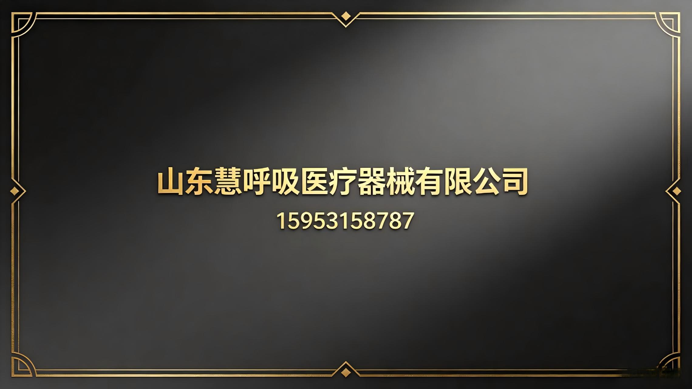 2026年有实力的老人呼吸机与小型呼吸机厂家综合解析：聚焦家用呼吸健康，深度剖析领先企业的差异化优势与选择指南