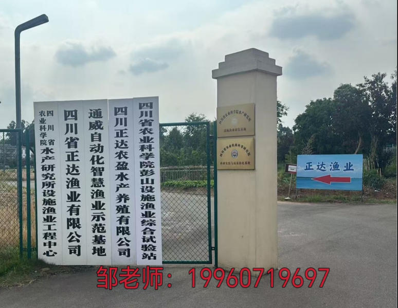 2026年四川对虾养殖利润与鲈鱼苗养殖示范企业正规性深度解析：聚焦产业盈利模式，甄选优质养殖示范