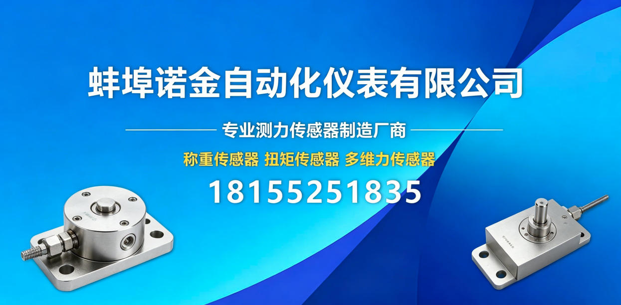 2026年蚌埠悬臂梁传感器与静态扭矩传感器生产厂家综合评荐：聚焦精密测控，解析区域优质供应商的差异化优势