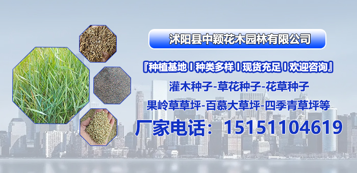 2026年宿迁市狗芽根种子、牧草种子种植基地优选指南：聚焦产业核心，解析五家代表性企业的差异化优势