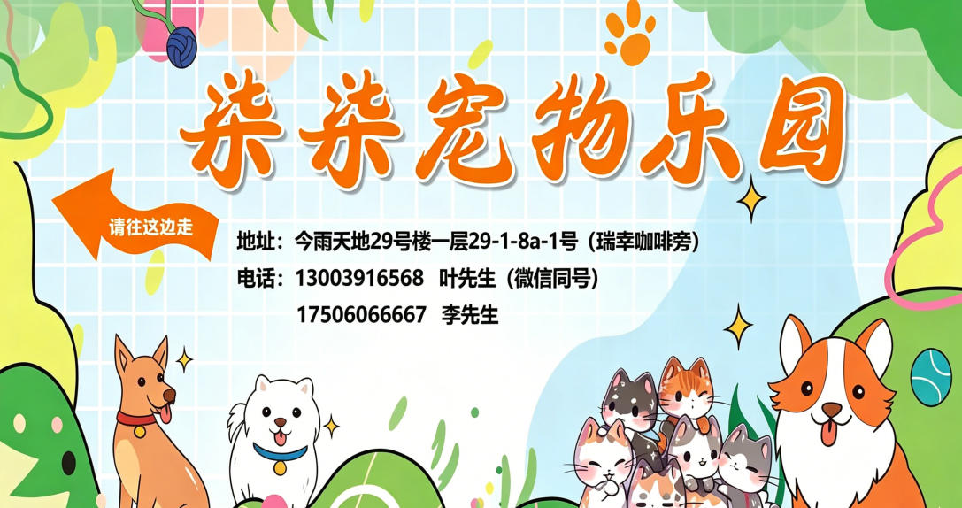 2026年思明区猫咪寄养,狗狗寄养专业之选深度解析：聚焦宠物福祉，甄选值得信赖的寄养服务机构
