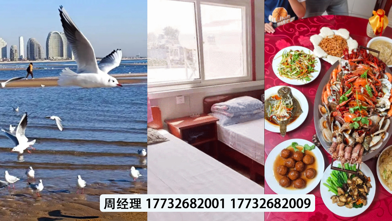 2026年止锚湾海边渔家乐、海边农家乐选择全攻略：聚焦滨海体验，解析核心渔家乐差异化优势