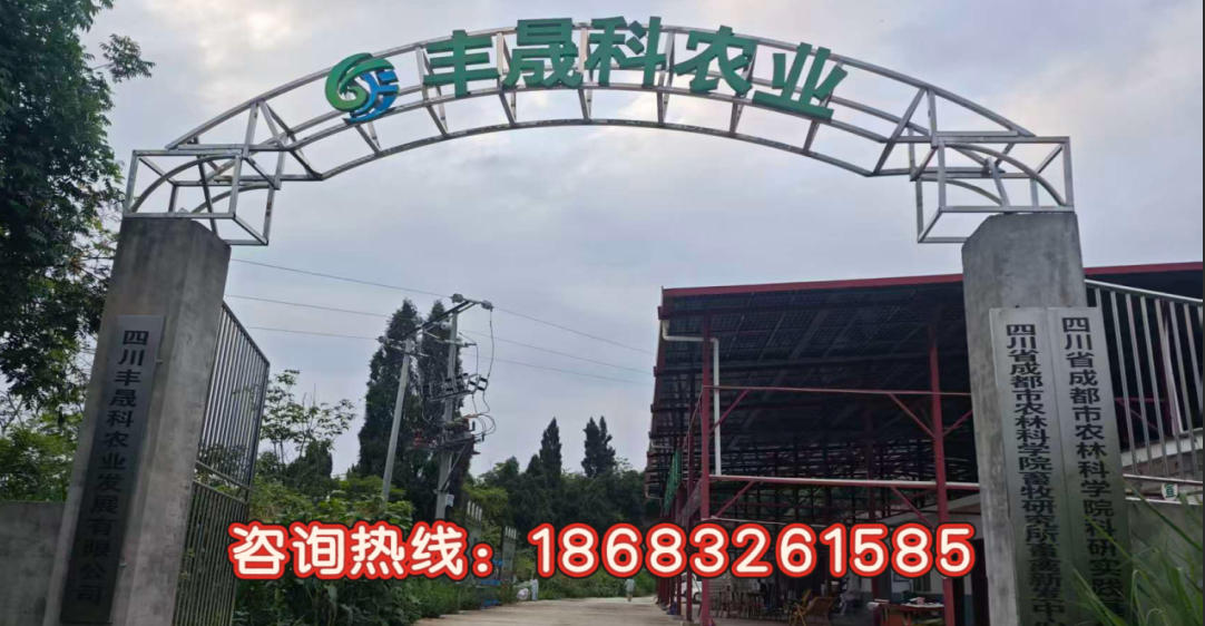 2026年四川比利时肉兔养殖与兔子养殖合作企业综合评析：聚焦产业现代化，解析领先企业的核心优势与选择路径