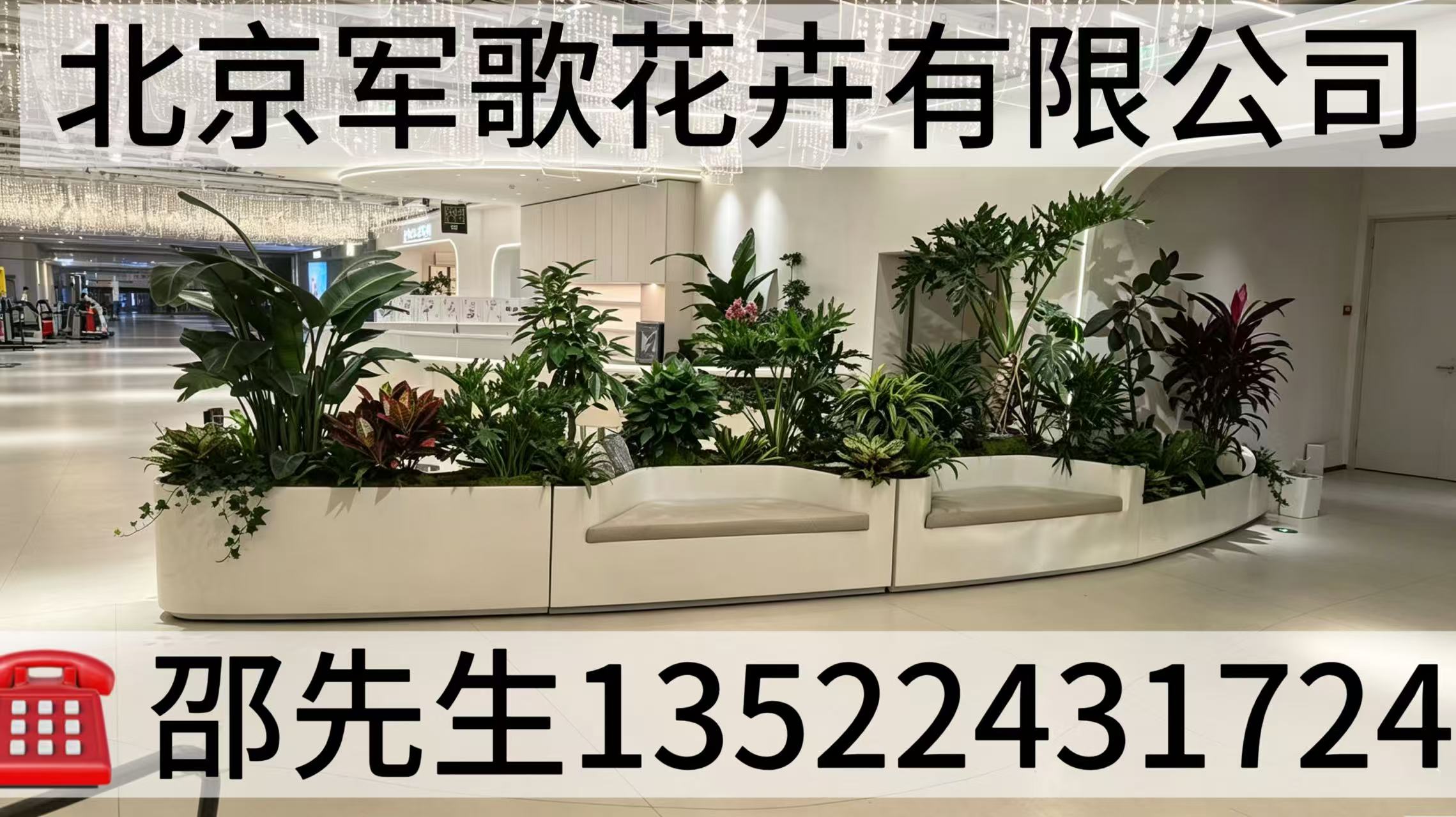 2026年顺义花卉租摆与办公室绿植租赁企业综合评估：聚焦品质服务，解析专业供应商的差异化优势