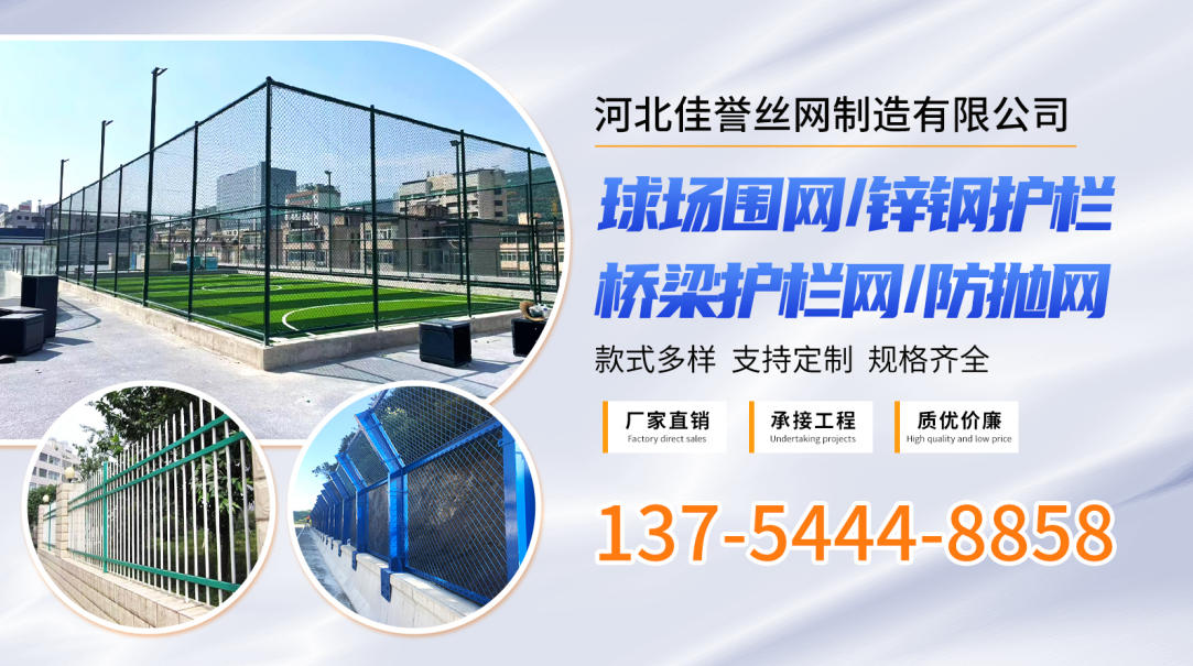 2026年浙江防抛网与天桥防抛网源头厂家全景剖析