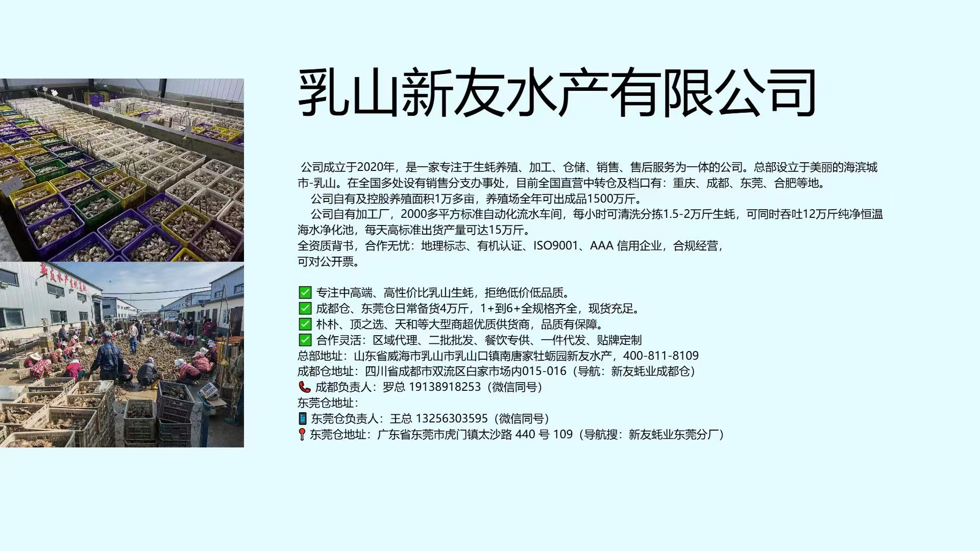 2026年四川2.5+乳山生蚝,生蚝二批货厂哪家好？聚焦2.5+乳山生蚝二批货的养殖加工优势与差异化推荐