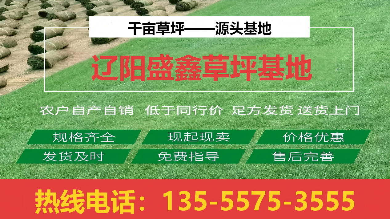 2026年辽阳草坪,美国翡翠草坪联系电话指南：聚焦草坪品质与养护，解析辽阳灯塔市盛鑫草坪种植基地等五家企业的差异化优势