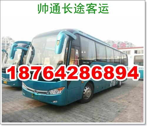 荣成到修武大巴车随时咨询长途汽车+宠物托运