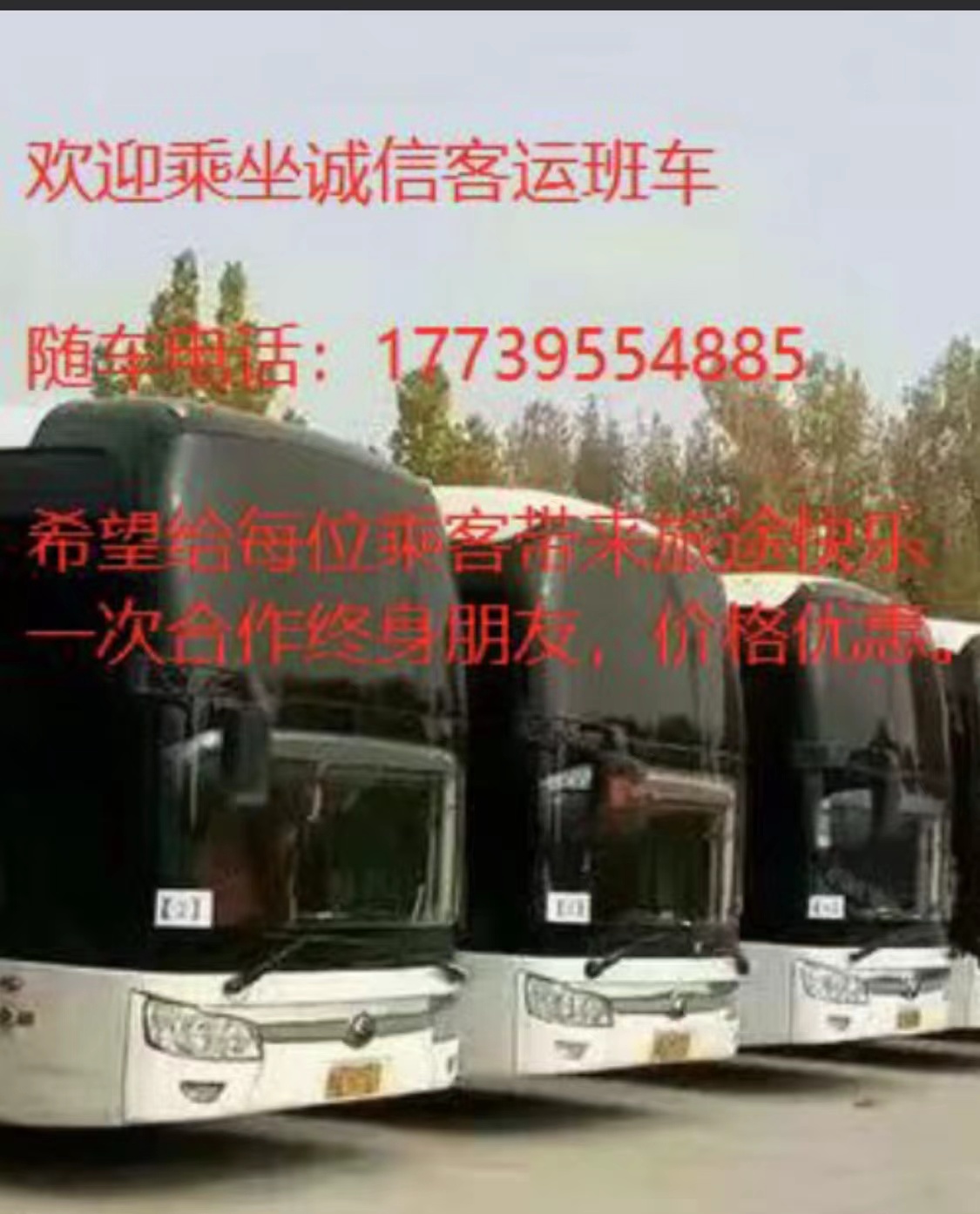 漯河到龙港的客车/大巴车至大巴车<汽车时刻表>