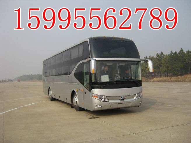 安丘到石狮直达汽车怎么预定+2026最新+宠物托运