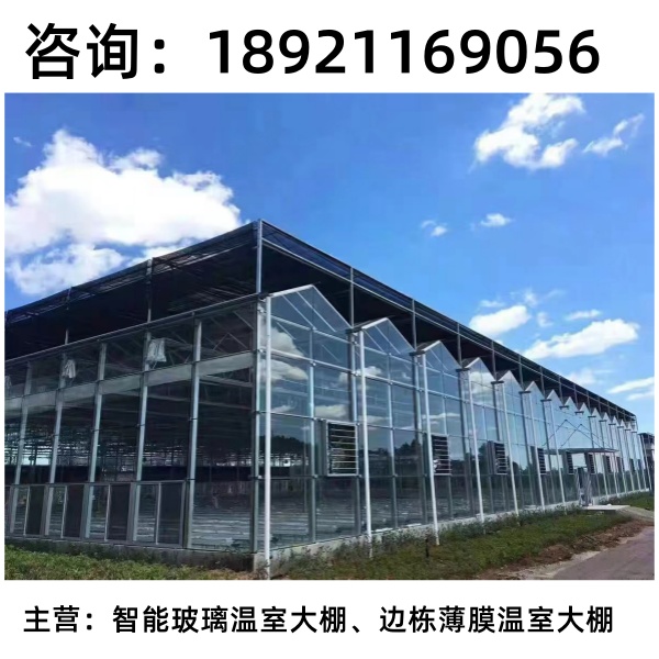 外形美观滁州连栋薄膜温室大棚种植试验科研种植外形美观