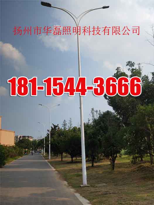 桂林15米爬梯高杆灯多少钱+2025排名一览