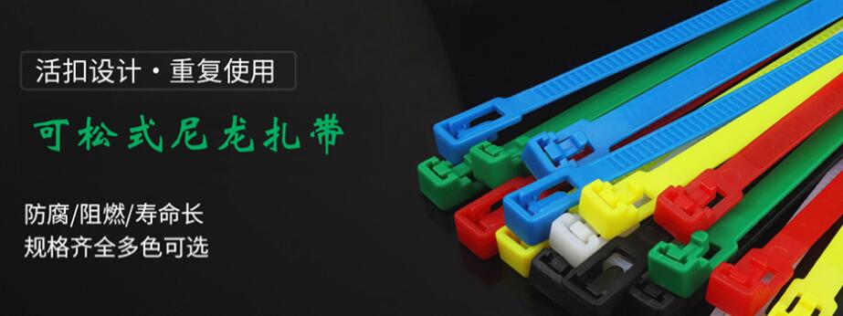 2026年温州扎带/固定头扎带生产厂家选哪家