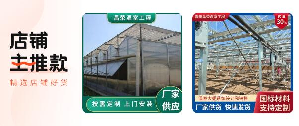 2026年专业的连栋生态玻璃温室/蔬菜大棚源头厂家选哪家