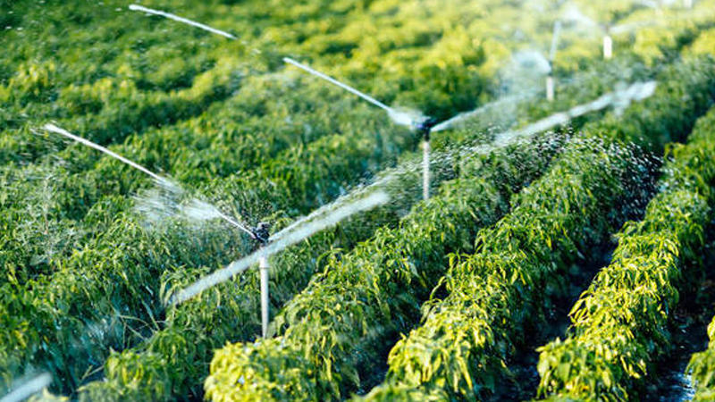 2026正规的智能滴灌系统/喷灌源头厂家热门排名