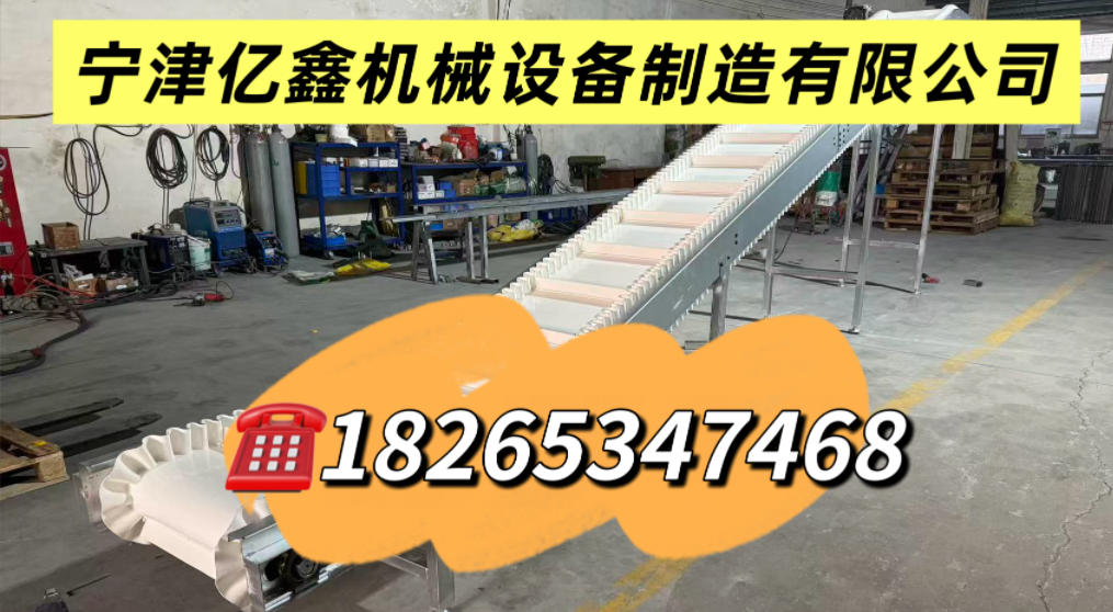 2026年优质的母料吹条输送机/不锈钢链板输送带厂家怎么选
