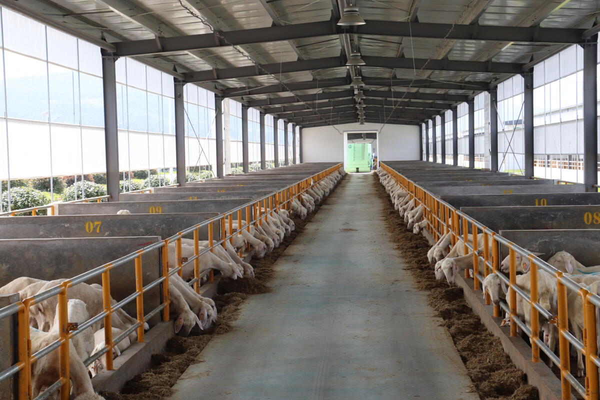 2026高性价比之选：好用的太阳能光伏车棚源头厂家怎么选