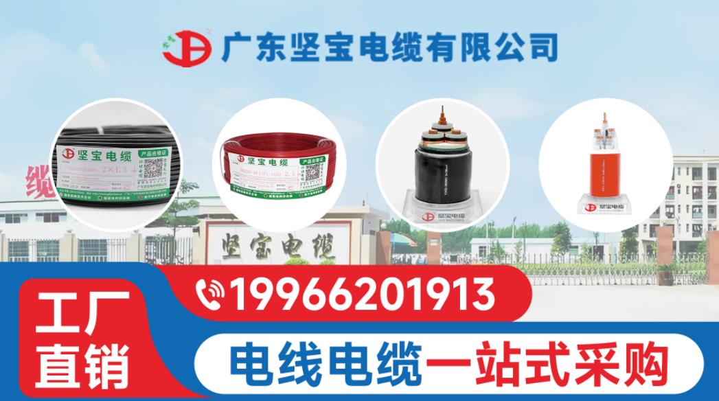 2026广东家装家用电线/铜芯电缆厂家热门排名
