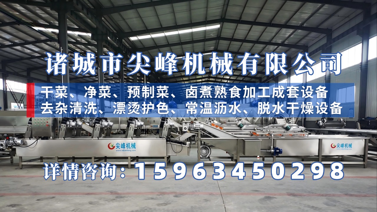 2026年专业的脱水蔬菜生产线/脱水蔬菜制作设备厂家热门推荐