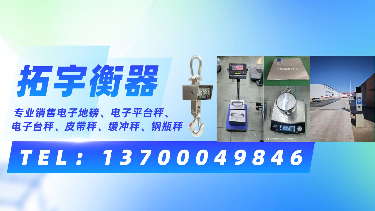 2026年沈阳地磅/汽车衡厂家排名推荐