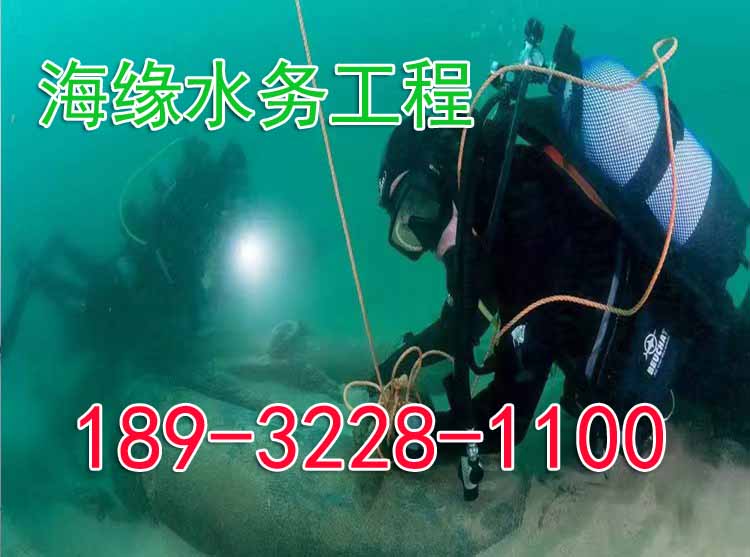 曲靖气囊封堵公司技术措施