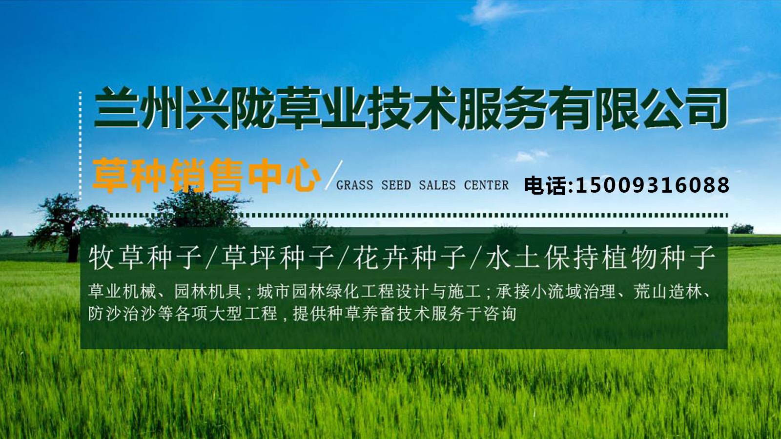 2026年上半年可靠的早熟禾草坪种子/饲用甜高粱牧草种子厂排名推荐