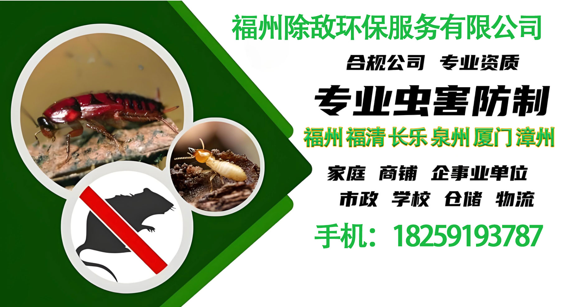 2026高关注推荐：热门的家庭除白蚁源头厂家怎么选