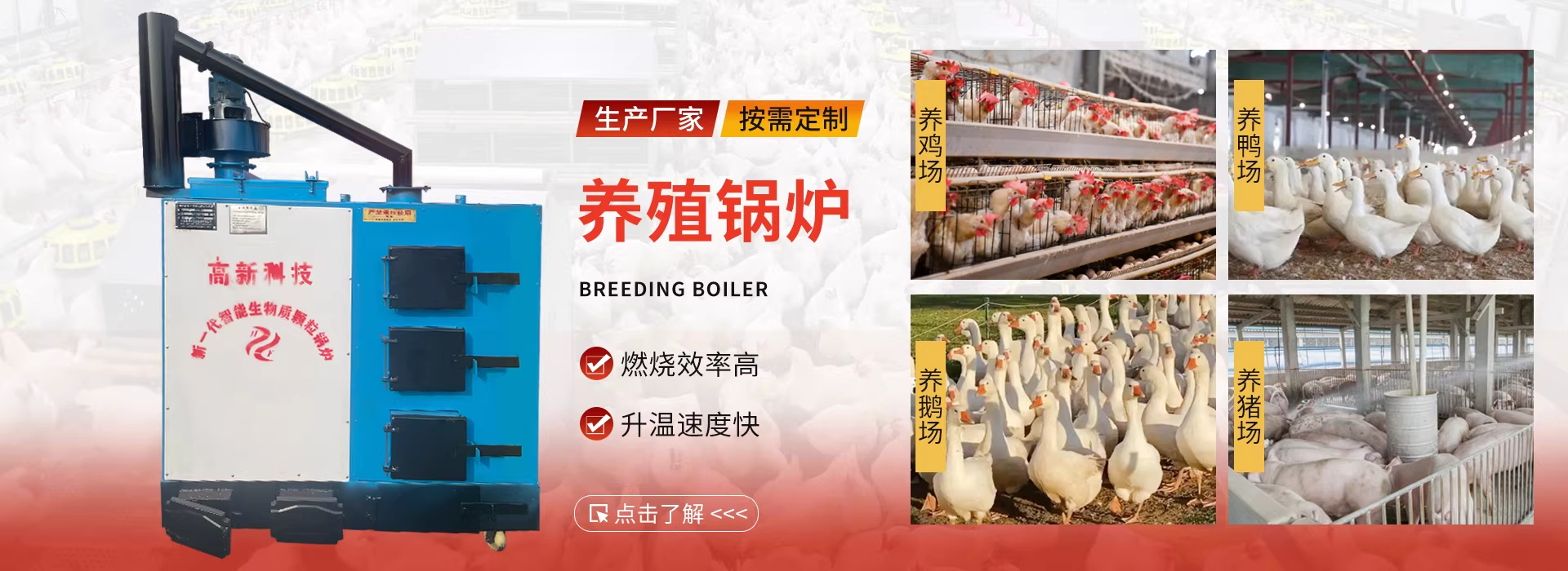 2026年好用的养殖加温设备/燃煤反烧水暖锅炉厂家推荐排名