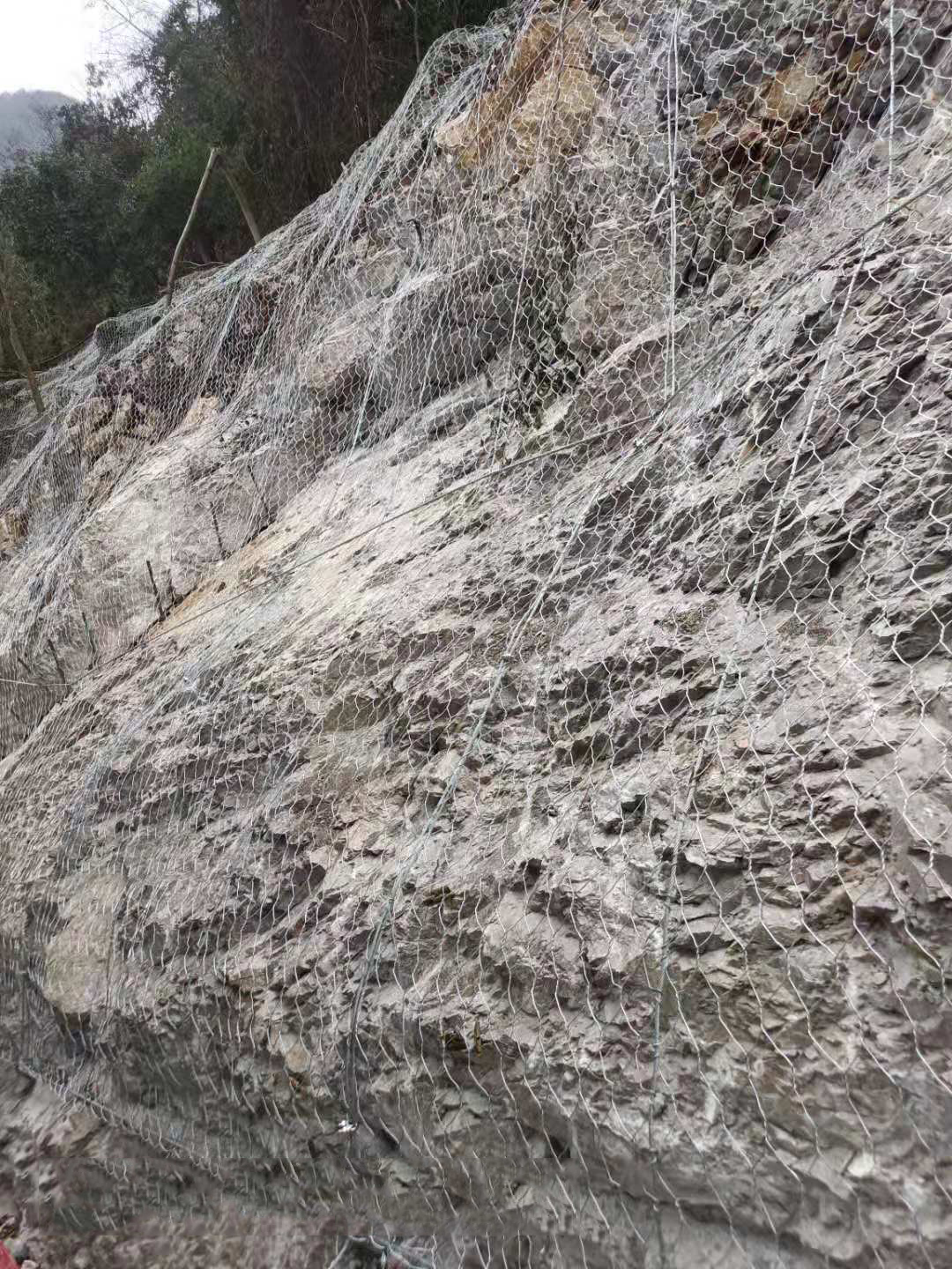 2026年上半年衡水边坡防护网 /镀锌铁丝勾花网厂家推荐盘点