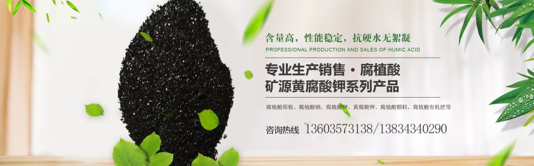 2026高性价比之选：专业的腐殖酸颗粒/腐殖酸钠粉状生产厂家推荐