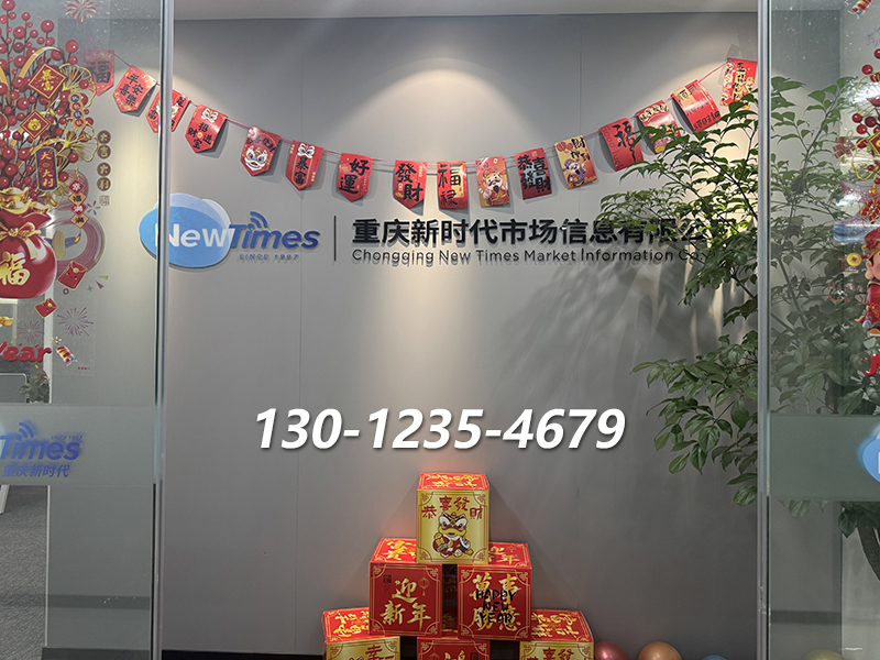 2026诚信的车流量监测/就业重点群体调查公司热门推荐