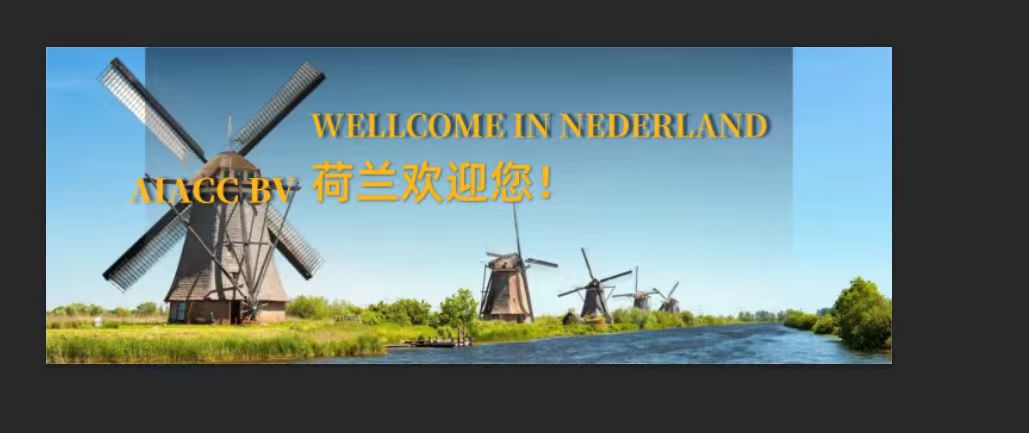 2026高性价比之选：优质的荷兰快速移民/荷兰移民办理公司推荐
