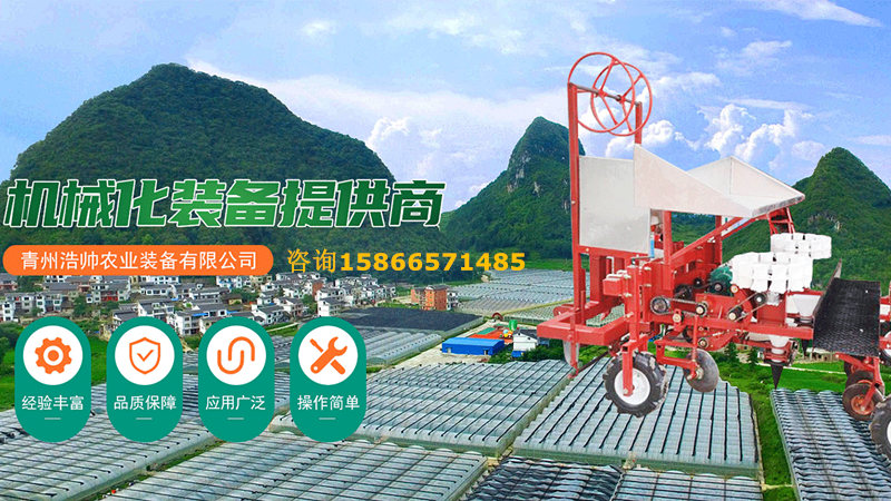 高效优选指南：正规的甘蓝移栽机/辣椒移栽机生产厂家推荐怎么选