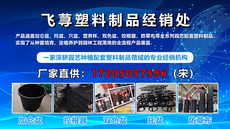2026高性价比优选：好用的育苗穴盆/多孔育苗穴盆源头厂家推荐