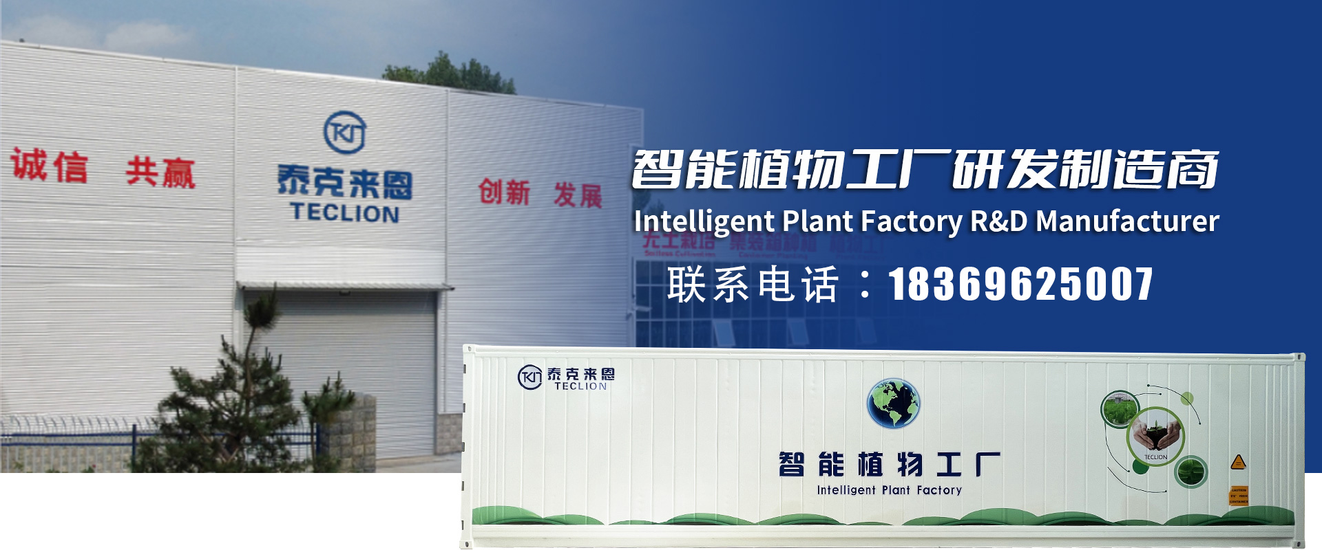 2026高潜力之选：山东菌菇植物工厂/植物工厂设备生产厂家推荐