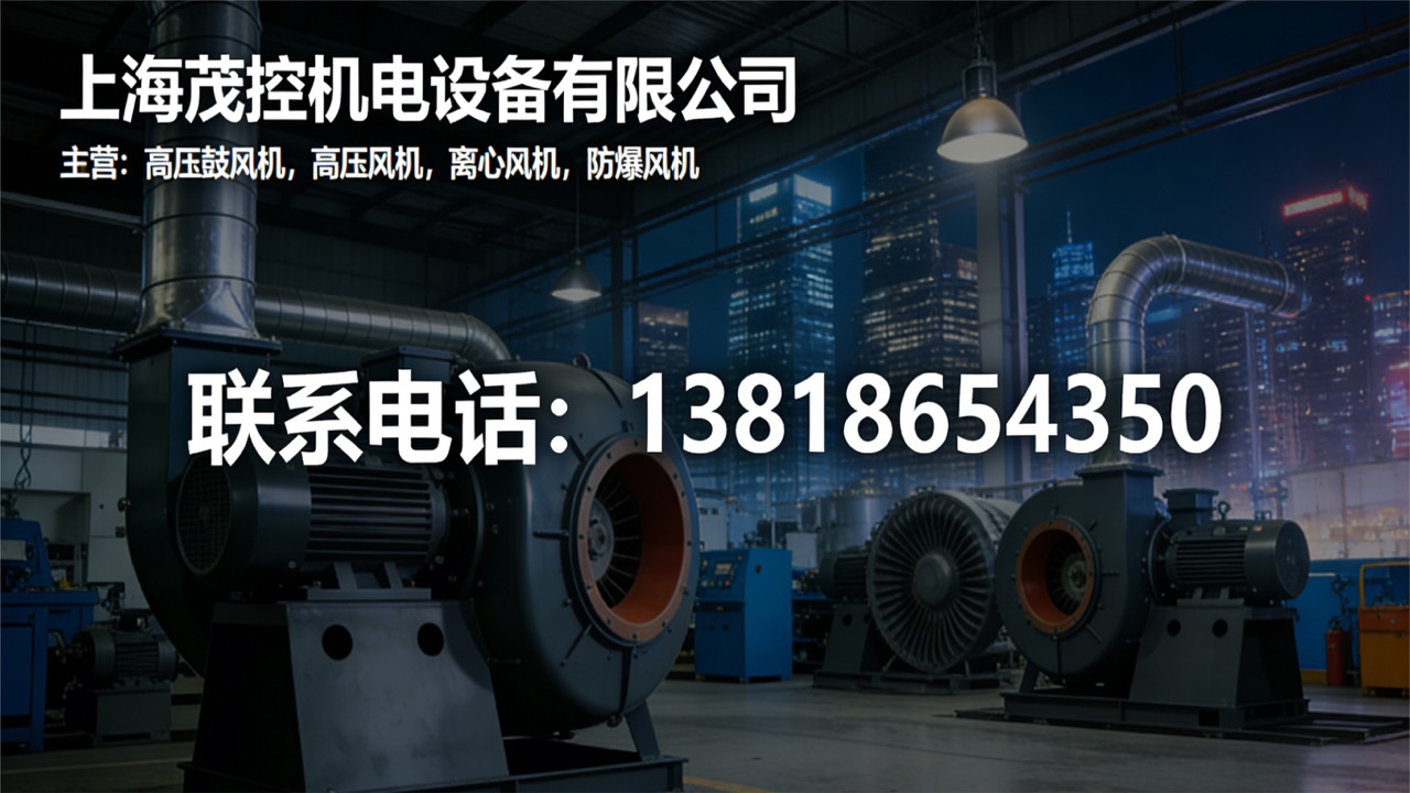 2026高效节能新标杆：上海高压鼓风机/污水曝气高压鼓风机生产厂家