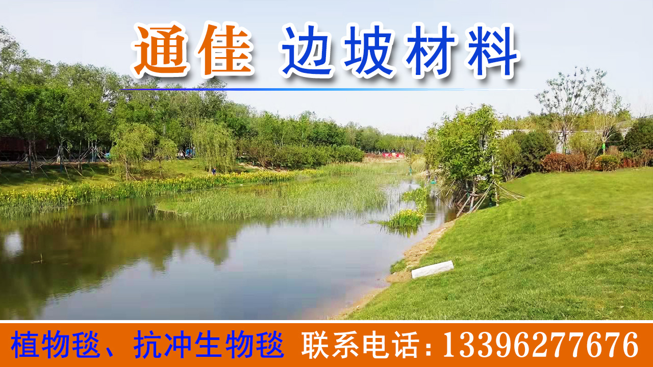 2026生态修复新焦点：正规的沉水植物种植毯/水下森林沉水植物种植毯生产厂家