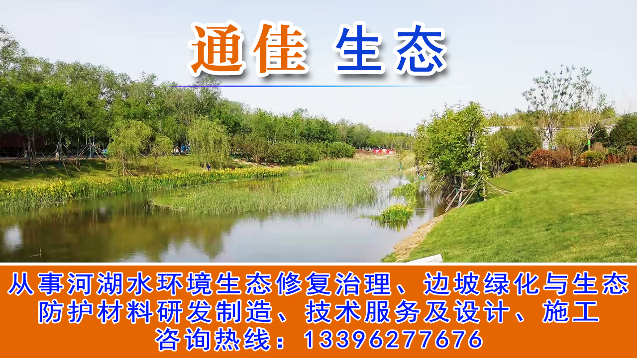 2026精选：浙江沉水植物种植毯/水下森林沉水植物种植毯供应商推荐排名