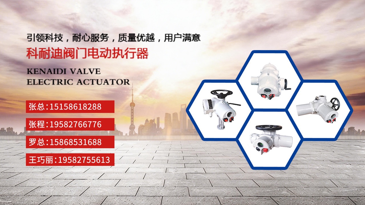 2026推荐：优质的电动执行器/防爆型电动执行器公司怎么选