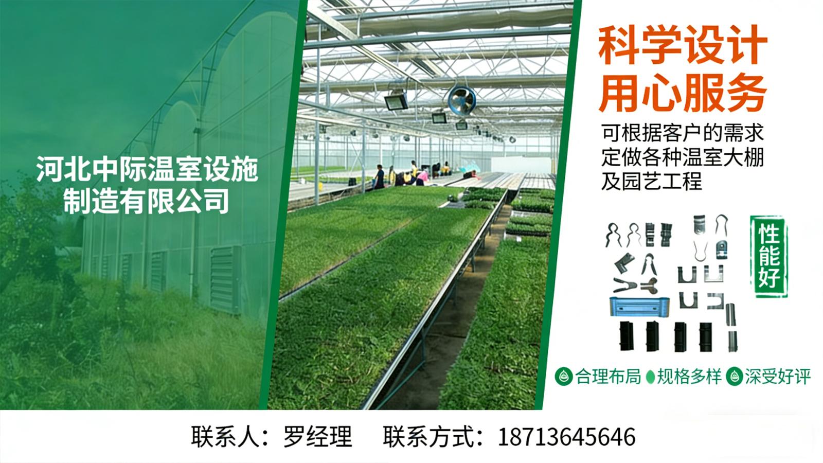 2026优选：有实力的温室大棚/连栋温室大棚源头厂家选择标准