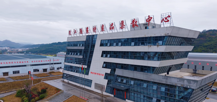 2026性价比之选:正规百合种植/百合苗种植基地TOP排名