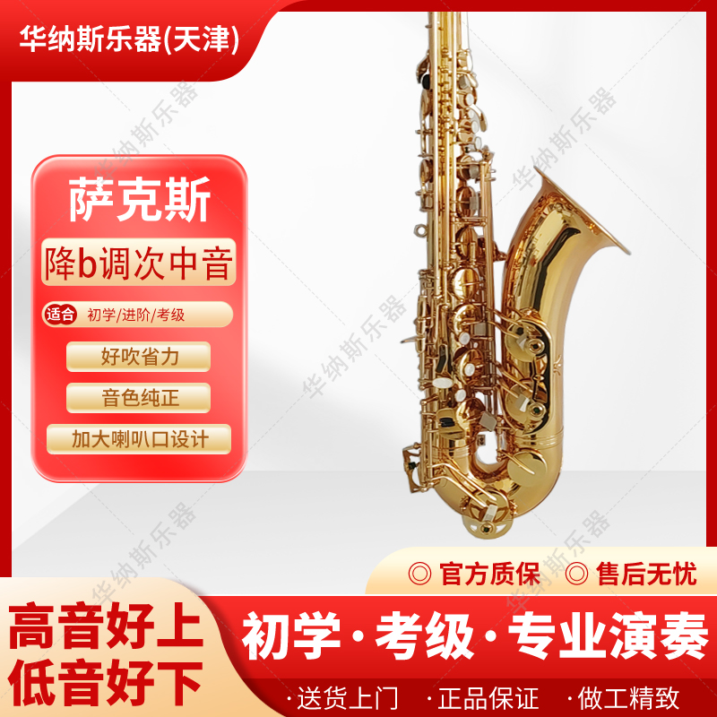 2026精选：不错的的萨克斯哪家强口碑排行榜