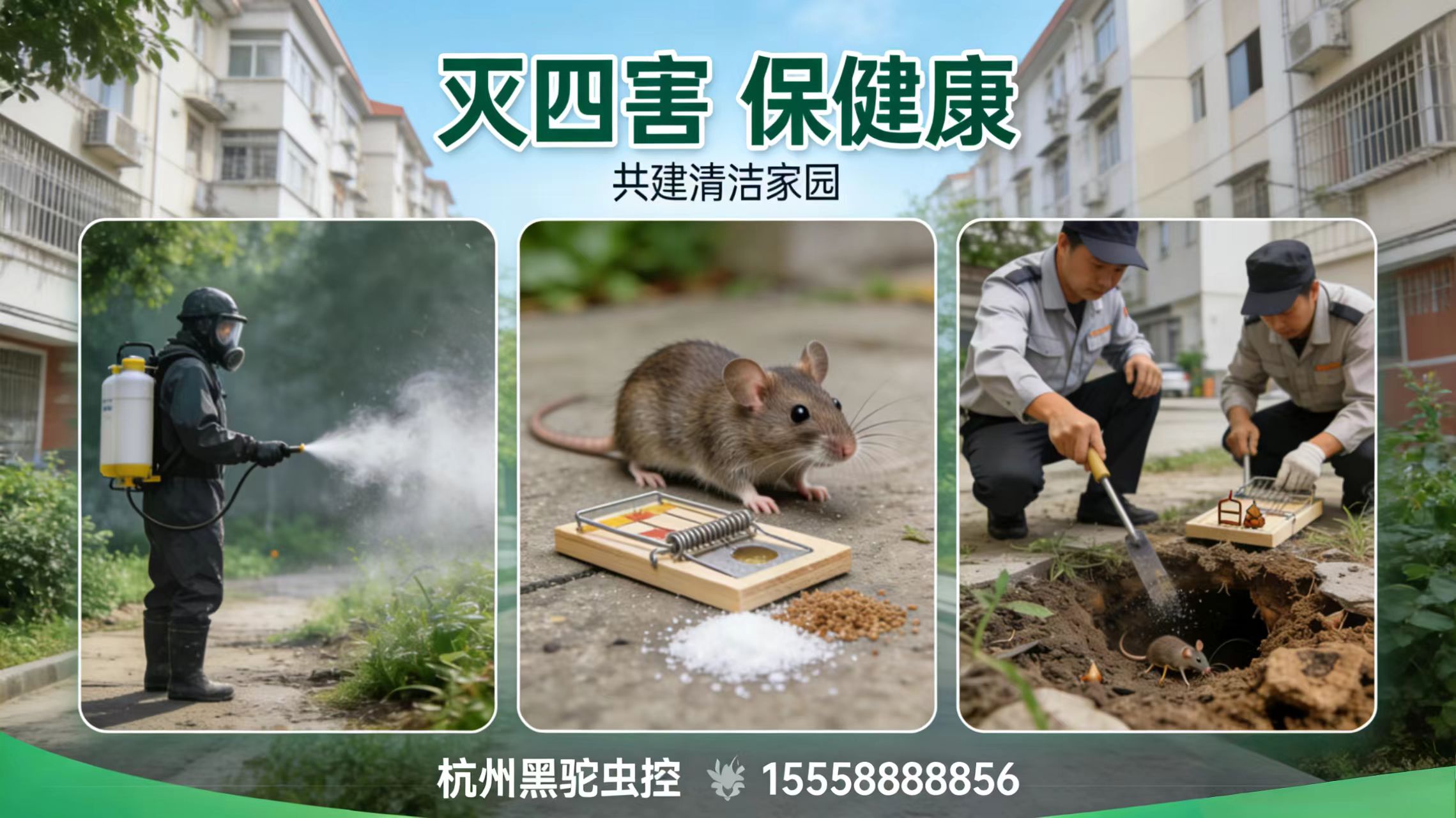 2026年性价比之选:临平区灭老鼠/上门灭老鼠公司推荐榜单