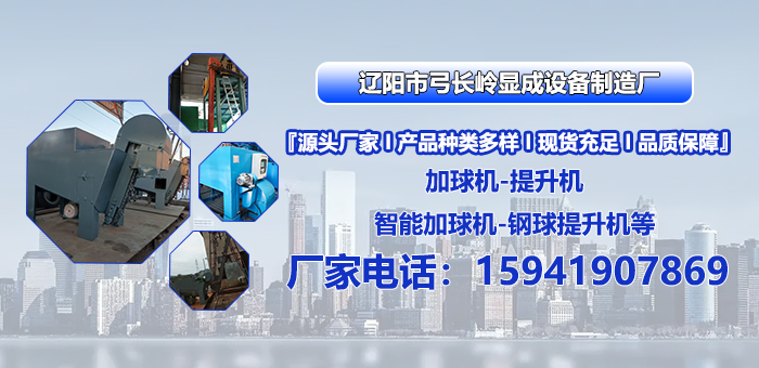 2026年优选:有实力的钢球提升机源头厂家热门榜排名