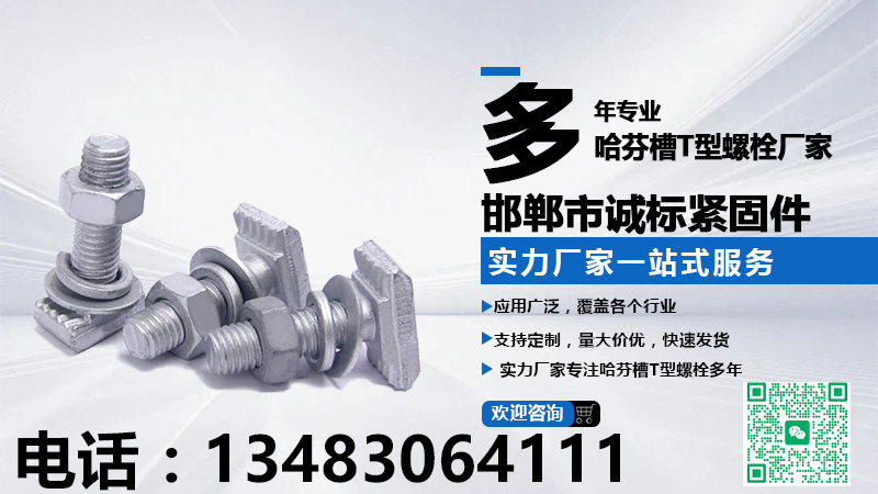 2026焕新:工程用的哈芬槽T型螺栓,托臂专用T型螺栓推荐口碑TOP榜