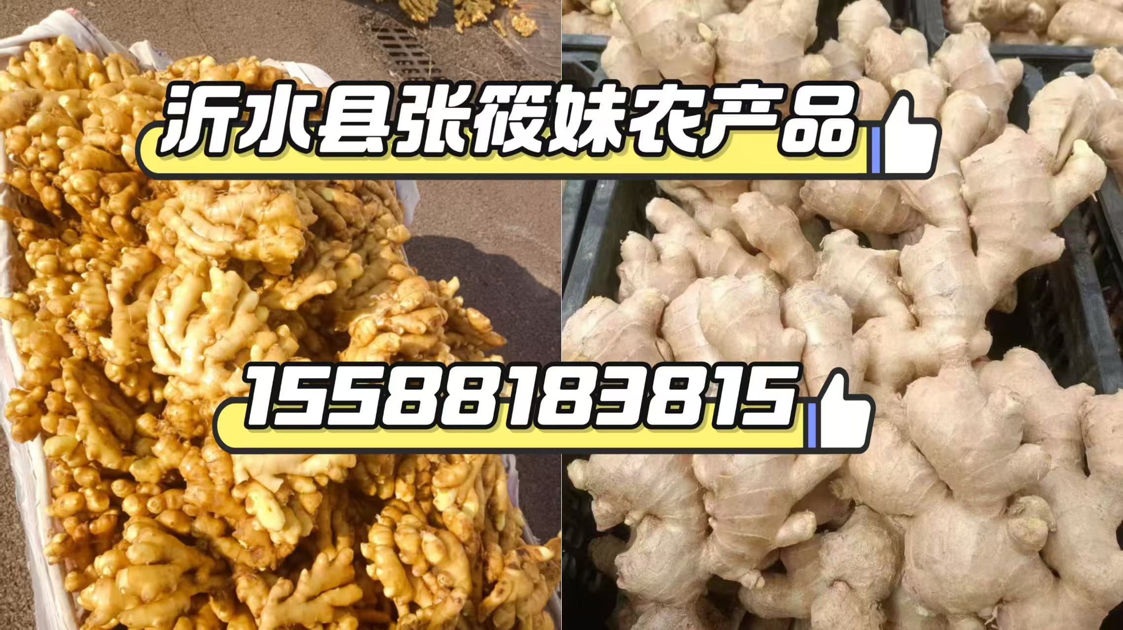 2026优选:沂水县生姜厂家榜单推荐观察